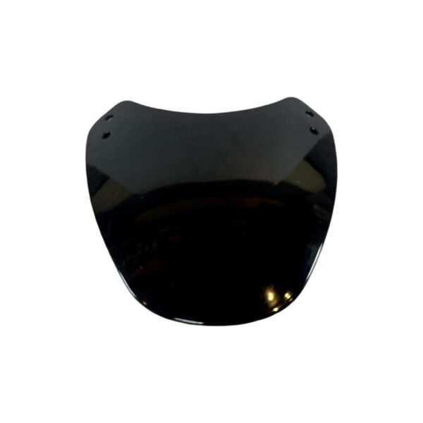 Royal Enfield Guerrilla 450 Visor